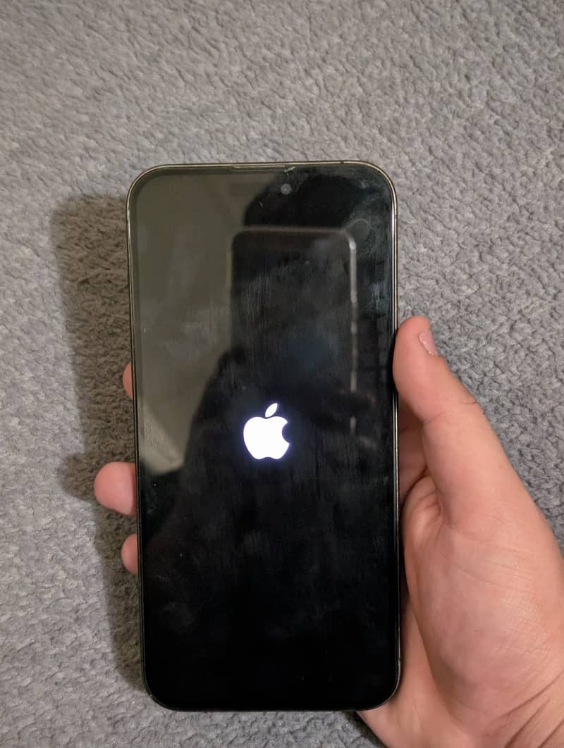 Apple iPhone 15 Pro Max 2