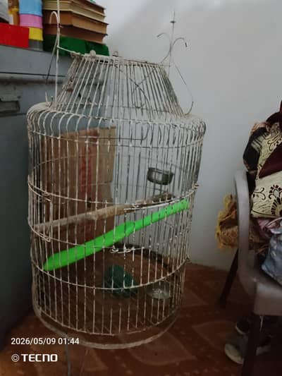 iron cage