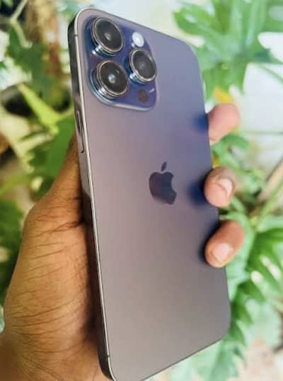 Iphone 14 Pro Max 256GB Purple Dual Physical