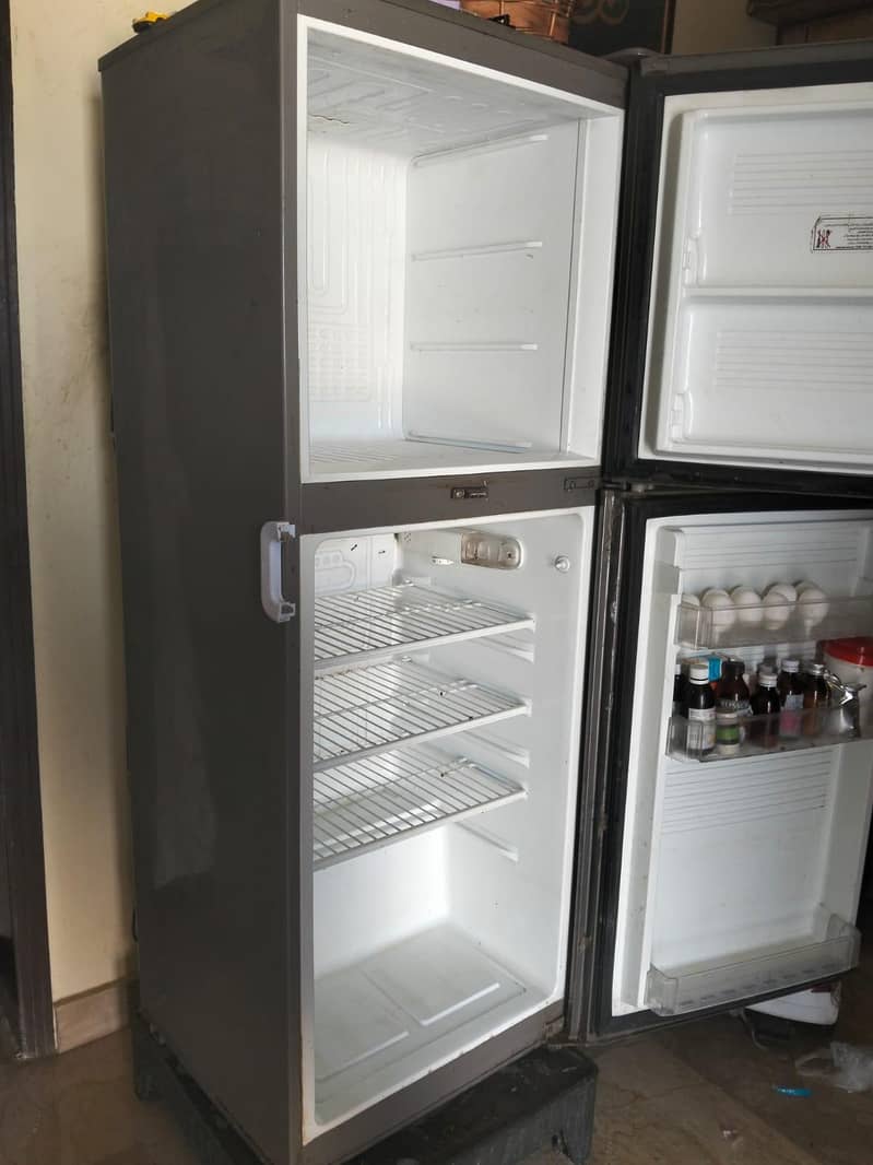 Pell Freezer 1