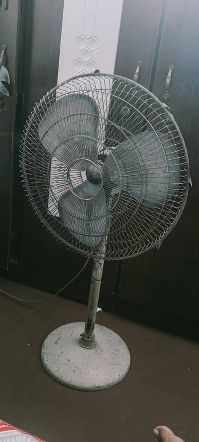 Royal Pedestal Fan