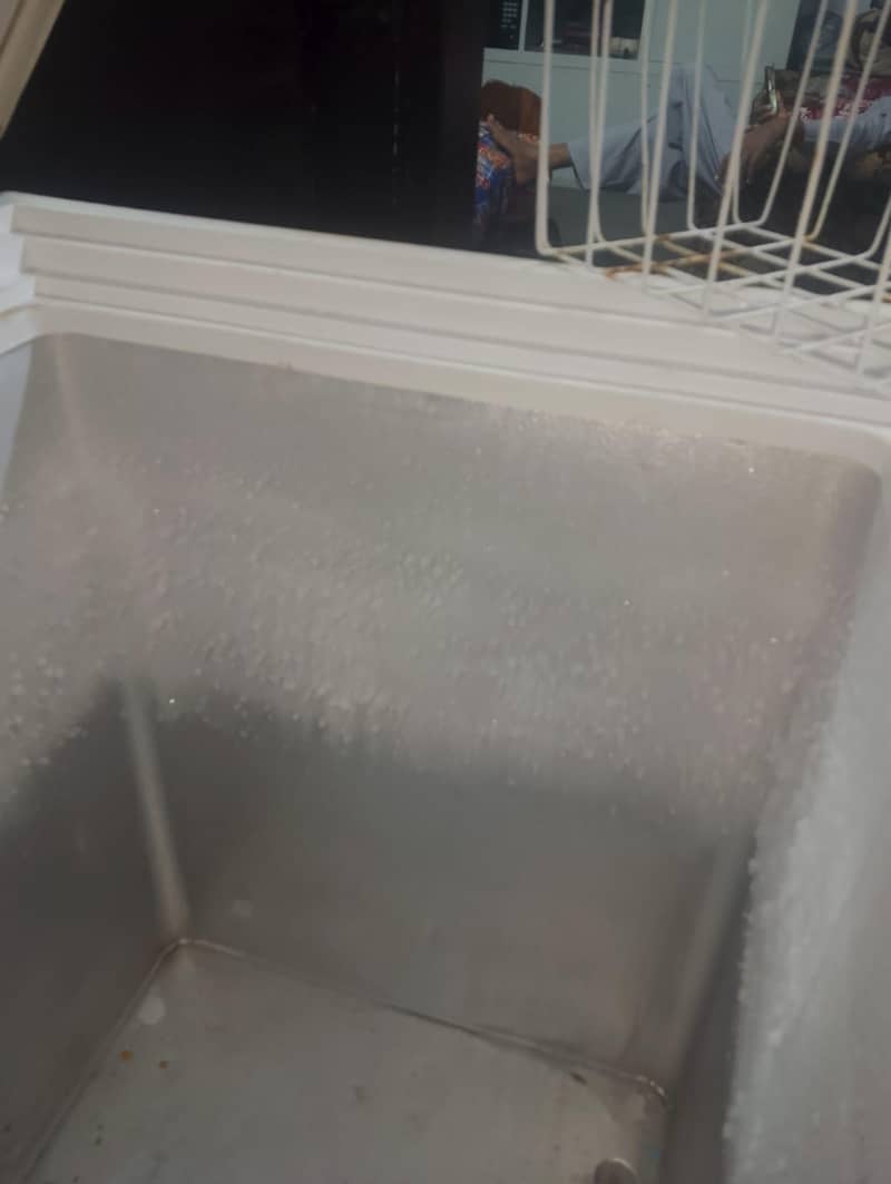 D freezer 1