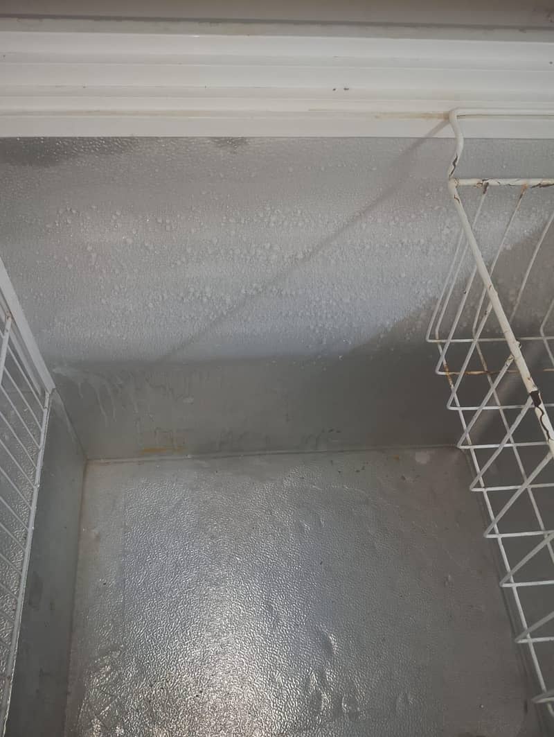 D freezer 4