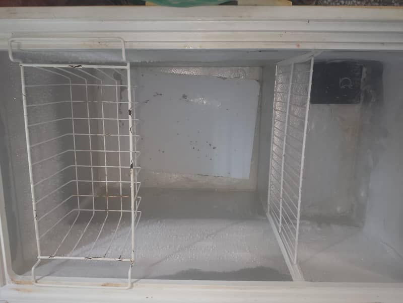 D freezer 6