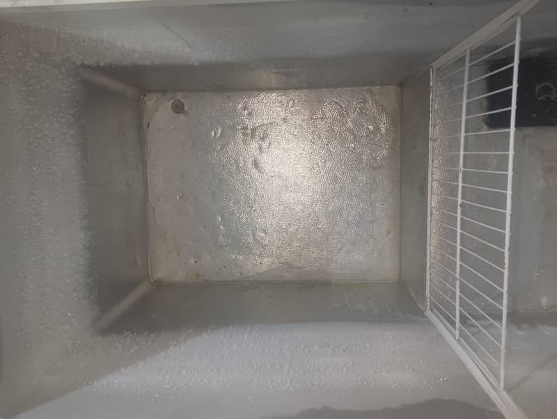 D freezer 7