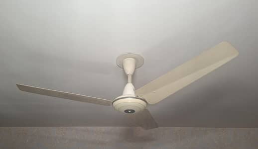 Pak Fan 55 Super Deluxe 55 inches