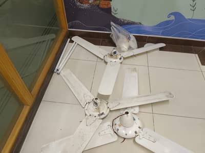 Ceiling and brackets fans