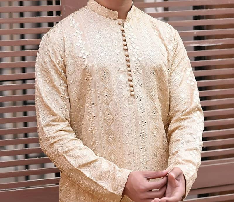 Fancy Kurta 3