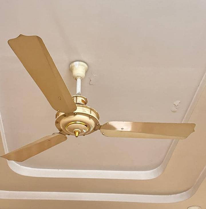 MARFLEX Copper Ceiling Fans 1