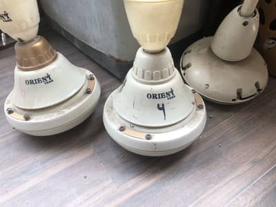 Celling fan