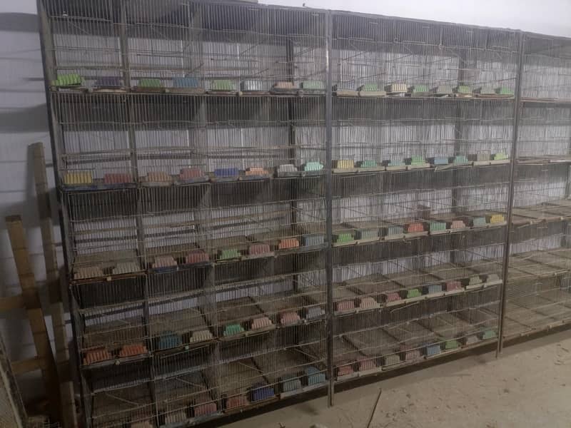 20 portion cages 0