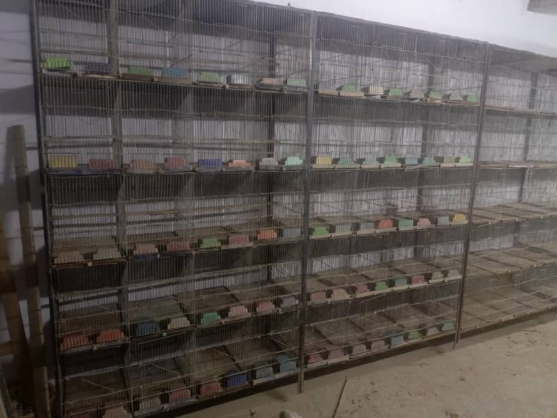 20 portion cages 1
