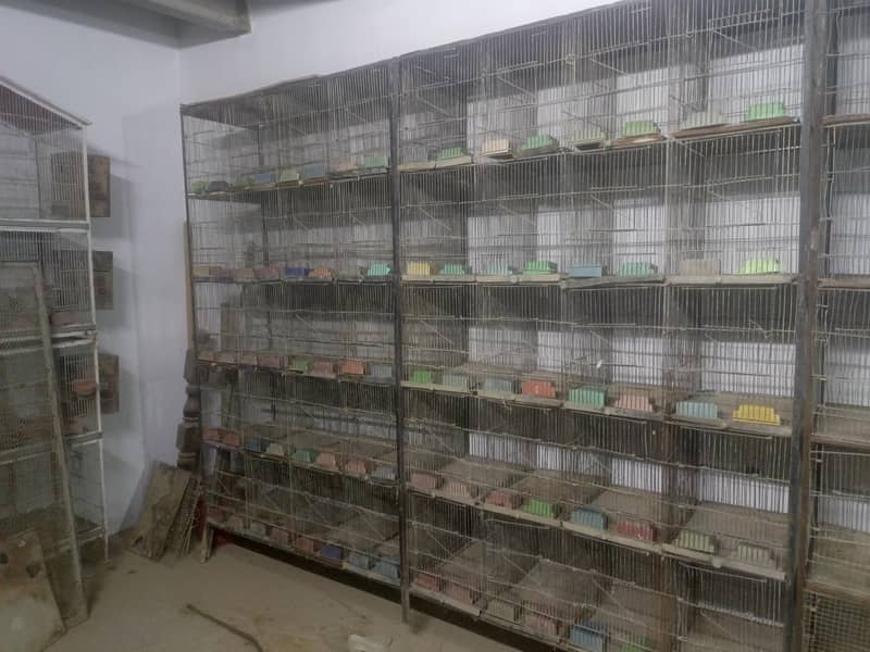 20 portion cages 2