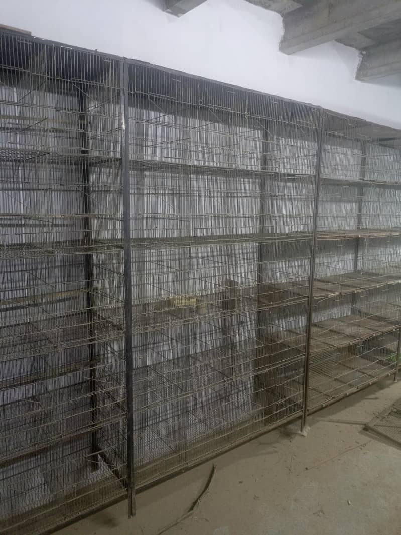 20 portion cages 3