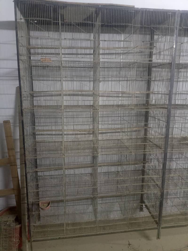 20 portion cages 4