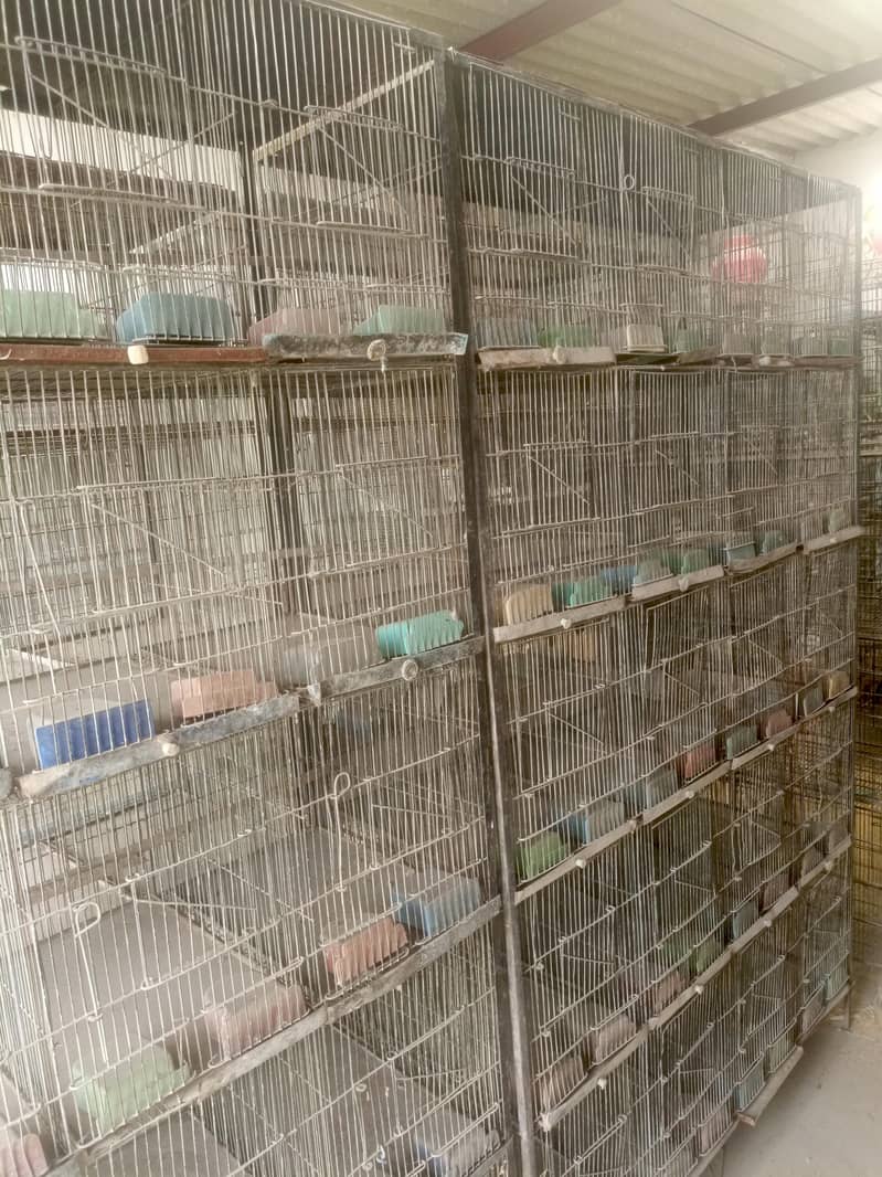 20 portion cages 5