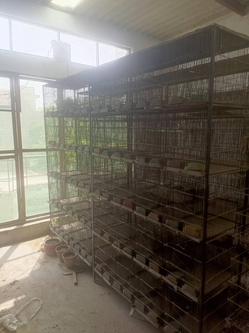 20 portion cages 6