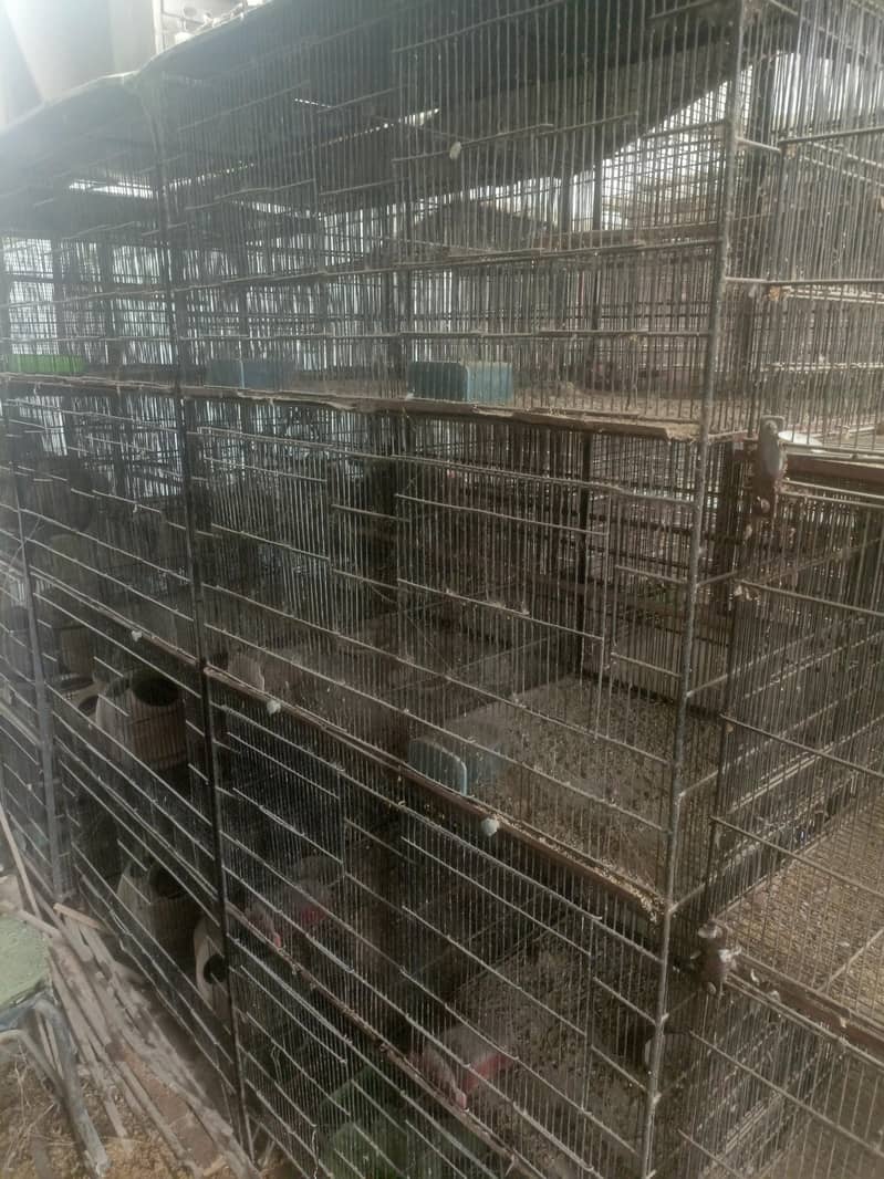 20 portion cages 7