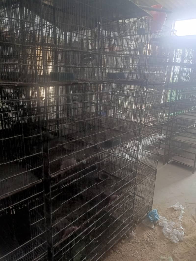 20 portion cages 8