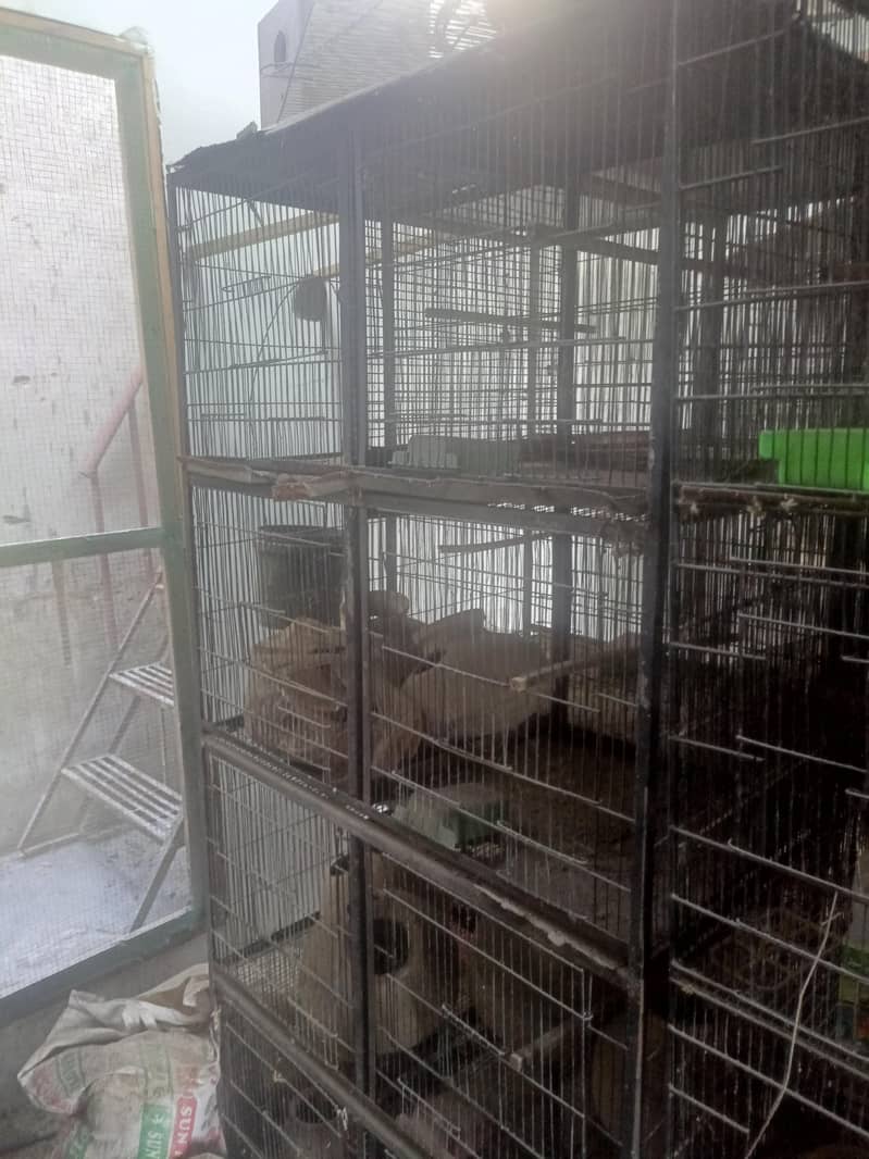 20 portion cages 9