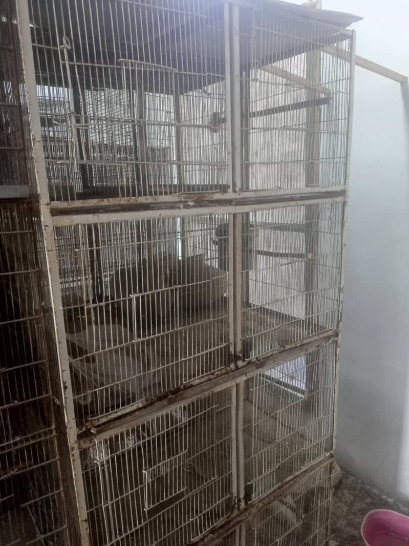 20 portion cages 10