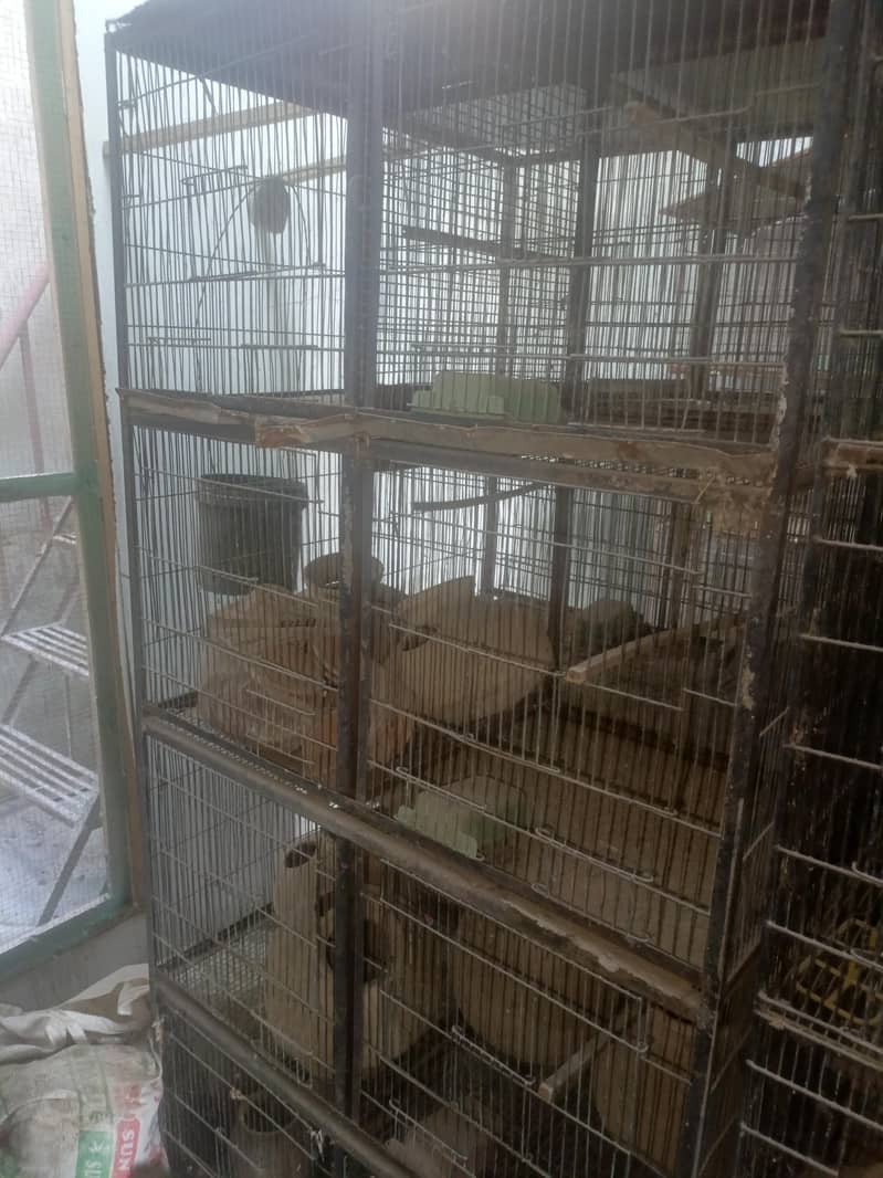 20 portion cages 11