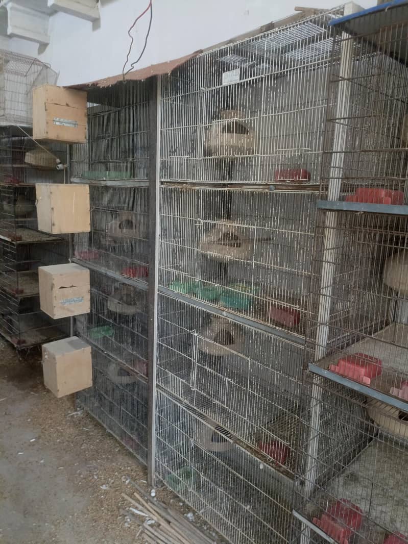 20 portion cages 16