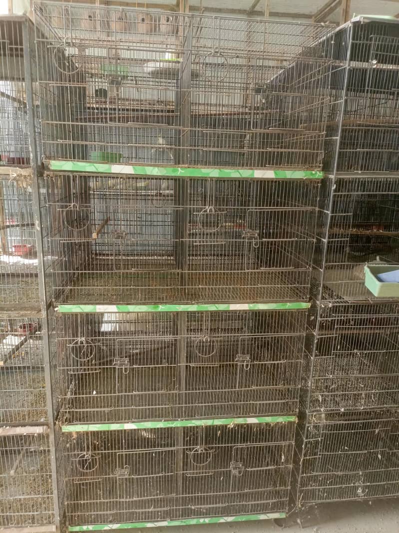 20 portion cages 17