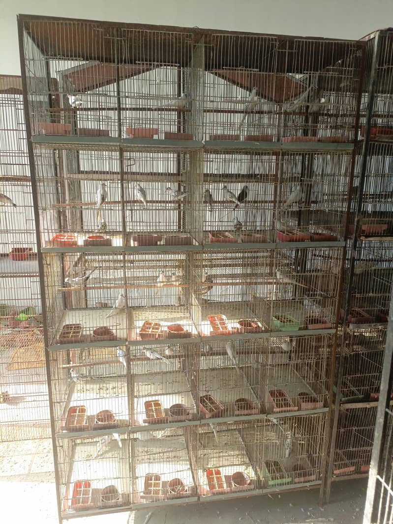 20 portion cages 18