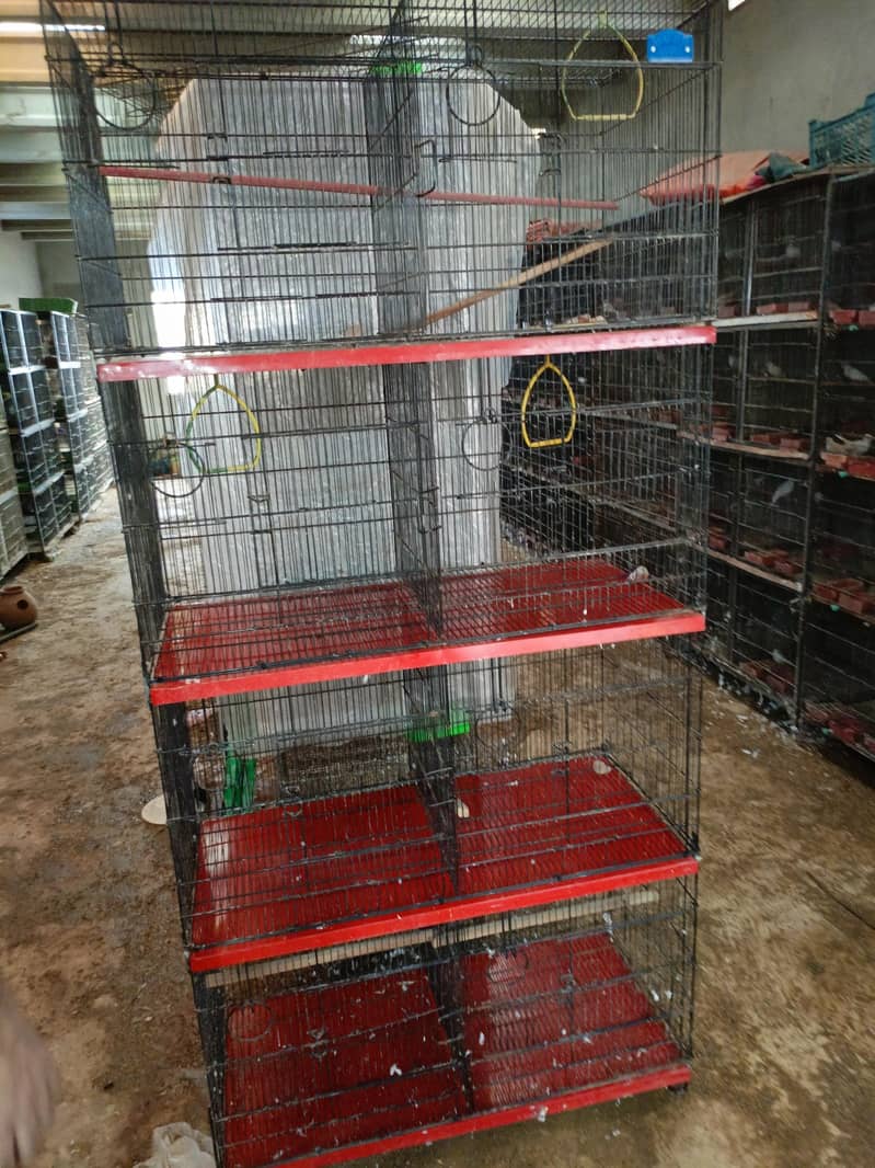 20 portion cages 19