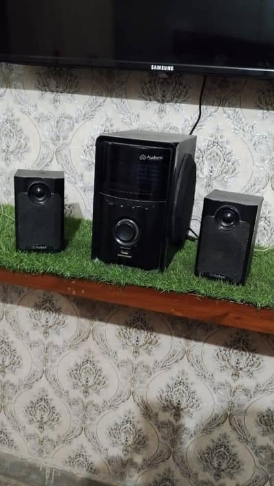speaker audionic