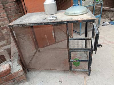 iron cage