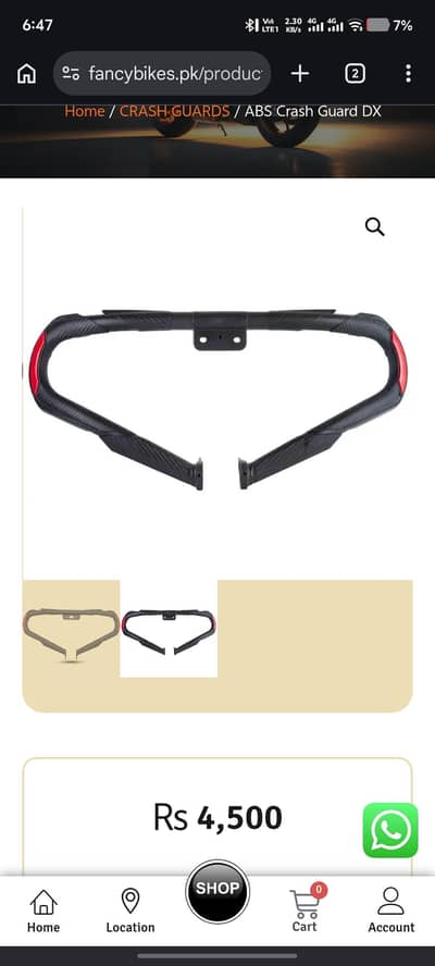 Carbon Mudguard
