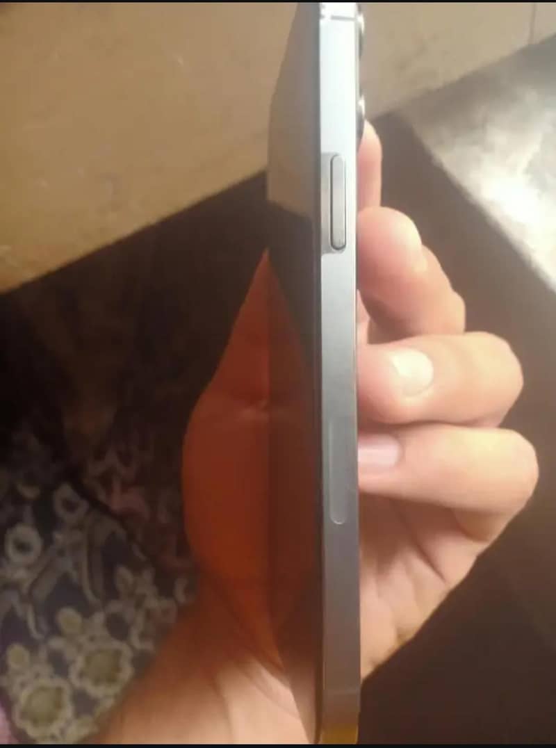 iPhone 13 pro max 1