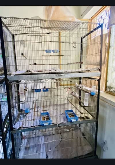 Goldian cage (aviry)