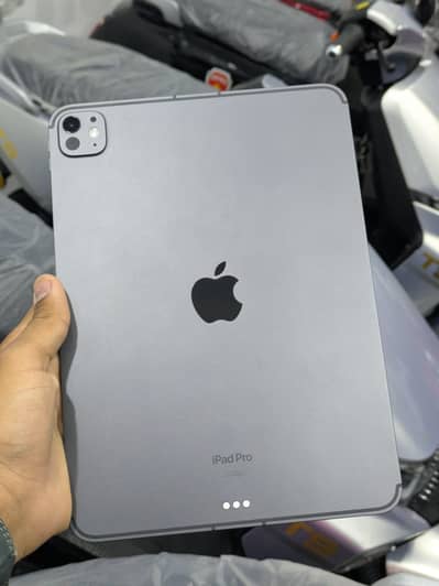 IPAD PRO M4 "11" 256 GB 5 MONTH Apple Warranty