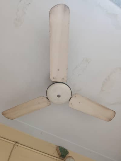 Asia fan for sale 70 watt oure copper