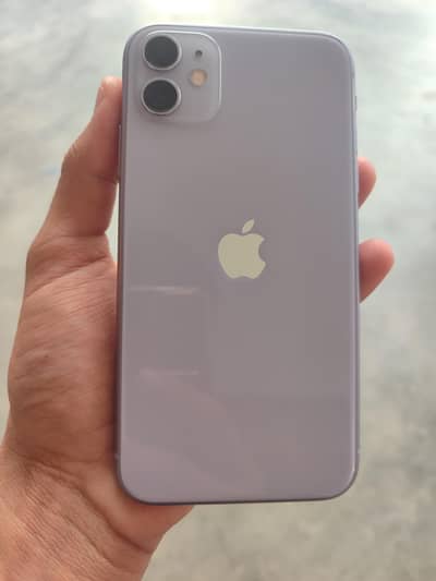 iPhone 11 in cheap price