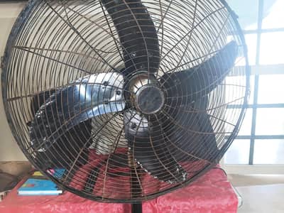 pedestal Fan