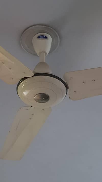 pakfan 56 celling fan