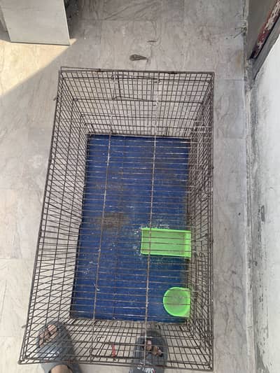 Cage for sale … urgent sale
