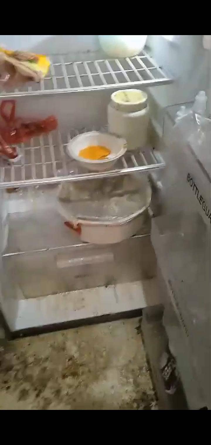 fridge 2
