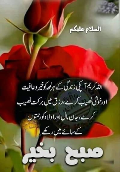 (for only girls)Costumer service k Liye mujhy 4 girls chahye