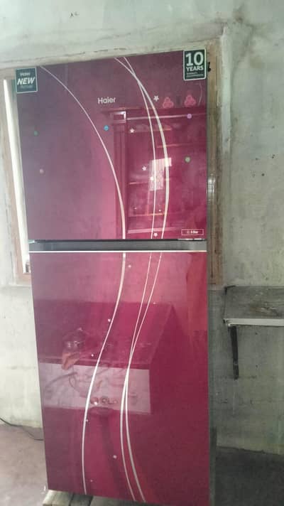 Untouched 10/10 Haier Refrigerator