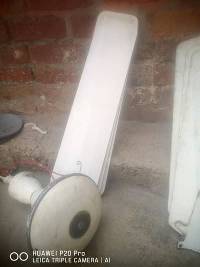 Ceiling fan