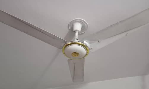 GFC Climax Taimoor Ceiling Fan for sale