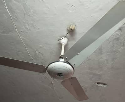 Al Sheikh Taimoor Ceiling Fan for sale