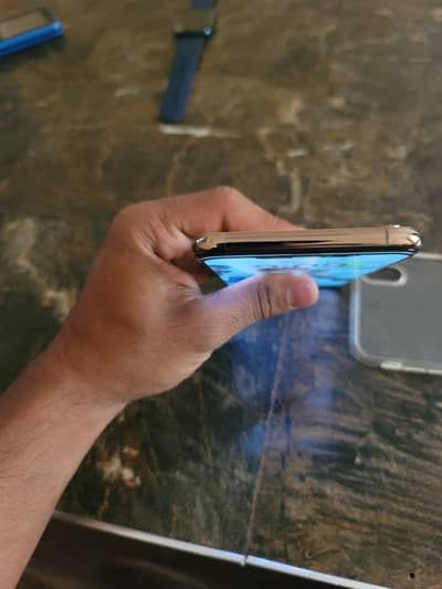 iPhone Xsmax ptaprove