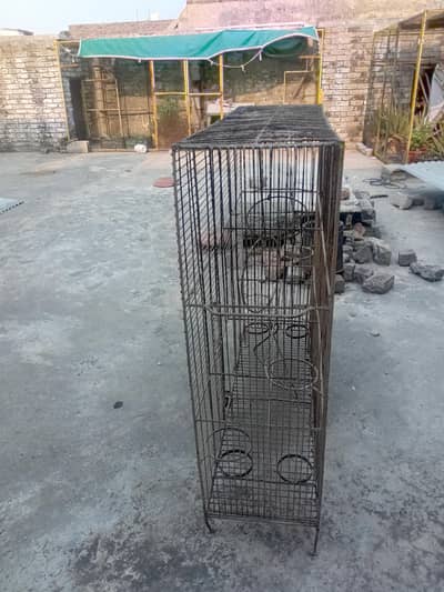 Bird Cage