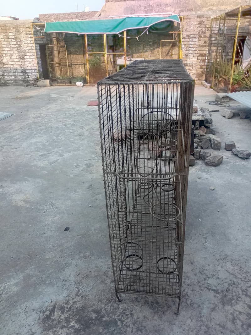 Bird Cage 0